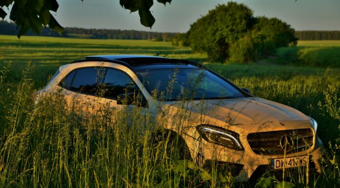 GLAdiator czy GLAmour