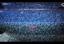 Stock exhaust Sakamoto vs Hayward&Scott Catback STI 2015