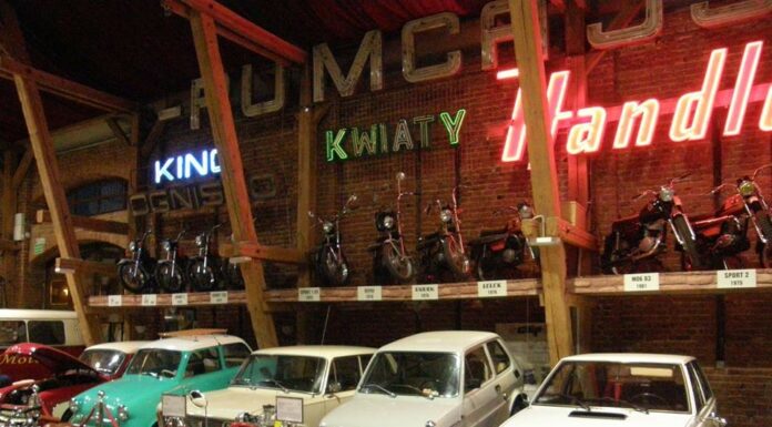 Dylemat młodego kolekcjonera by Patryk Korbel.