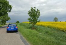 Rola rzepaku w motoryzacji.