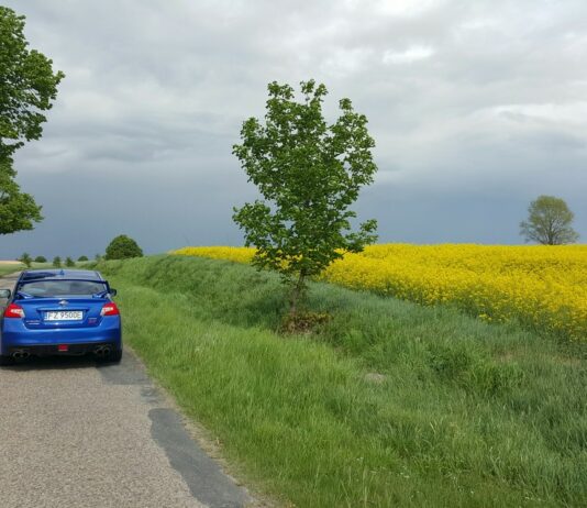 Rola rzepaku w motoryzacji.
