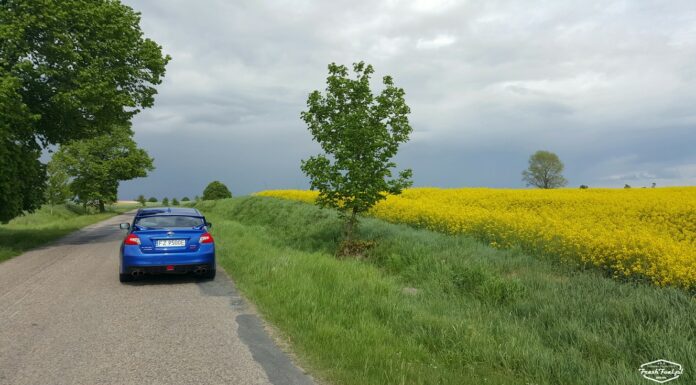 Rola rzepaku w motoryzacji.