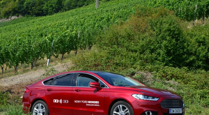 Wino – FORD – Motorsport