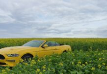 Amerykański kabriolet z wolnossącym V8…A NIE…CZEKAJ !?