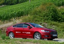 Wino – FORD – Motorsport